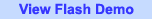 Flash Demo
